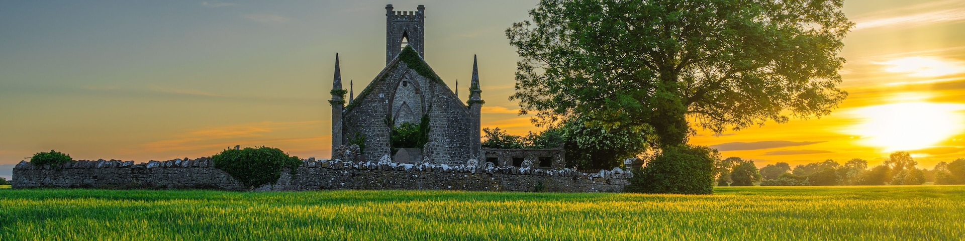 Cereal field illuminated by sunlight and old stone ruins of Ballinafagh Church with dramatic sky at sunset in background, County Kildare, Ireland