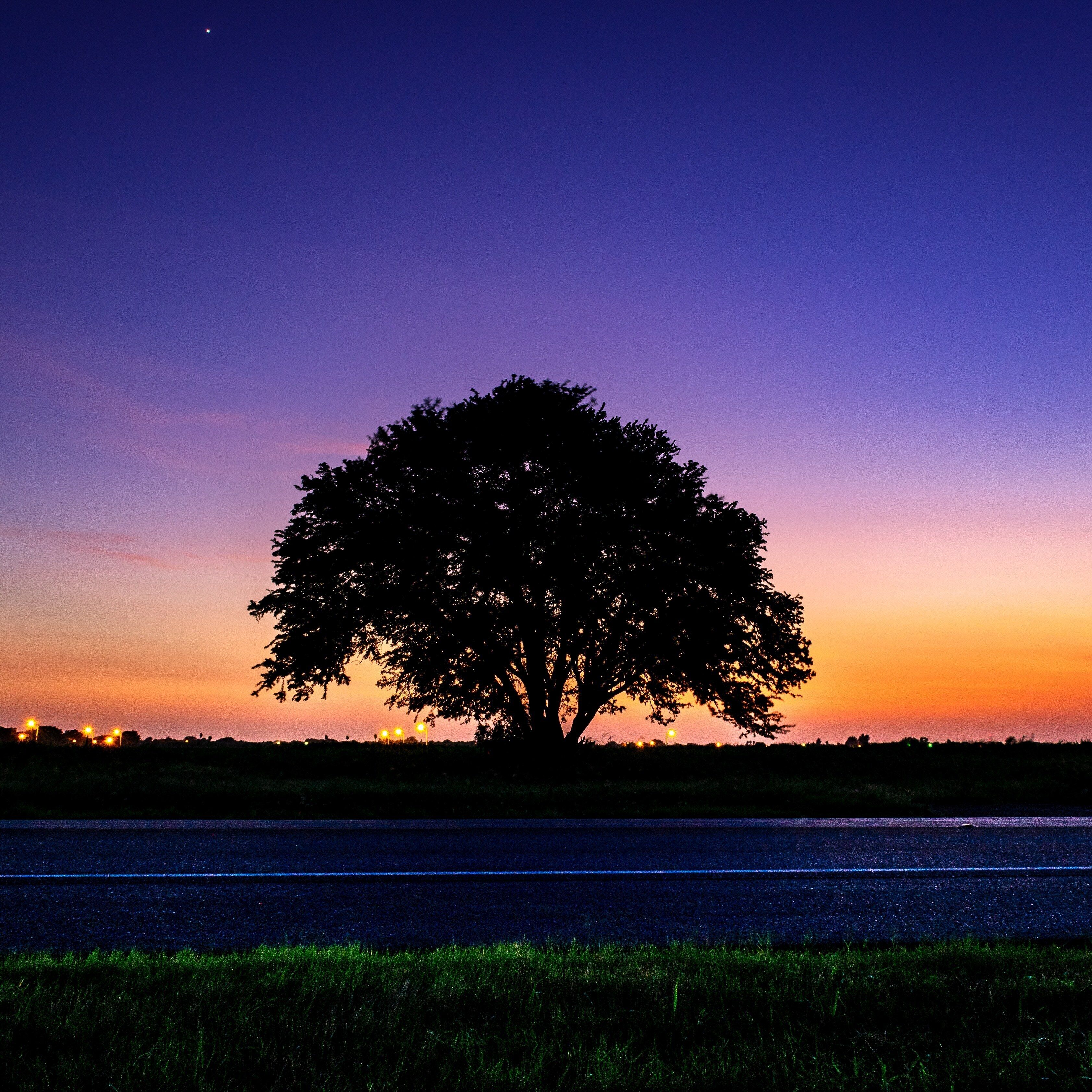 I've passed this tree so many times throughout the years, always wanting to get a shot. And yesterday, when I realized how beautiful the sky looked, I decided to grab my camera, drive up to the spot, and take the picture. I'm so glad I did! #LikeALocal #NikonD3400 #LongExposurePhotograohy #NightPhotography 