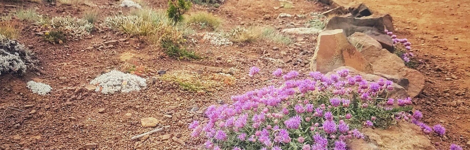 Hiking the beautiful Summit trail on top of Mt Howard with a view of the Eagle Cap Mountains in the distance. Wallowa, Oregon. Elevation, 8255ft. #GreatOutdoors