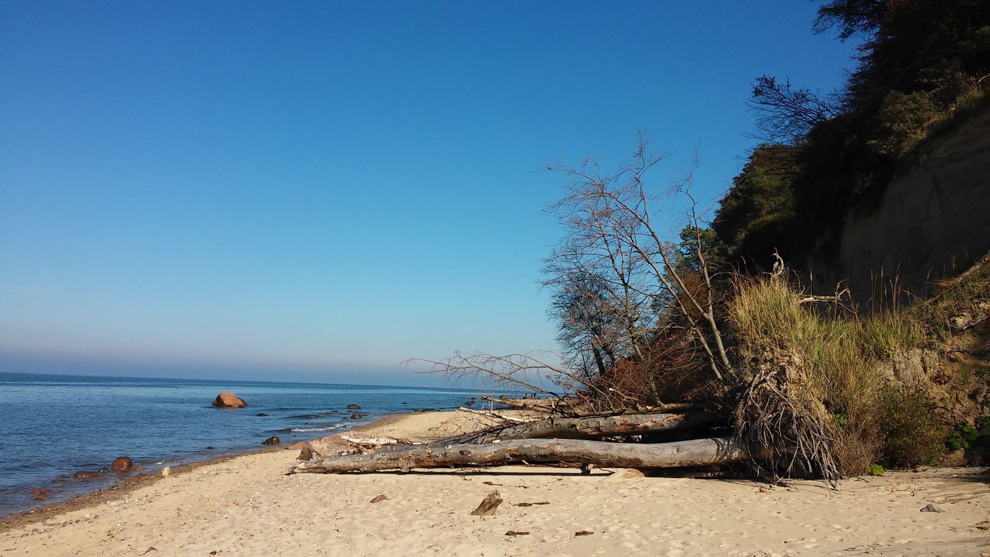 This is a photography of protected area with CRFOP ID