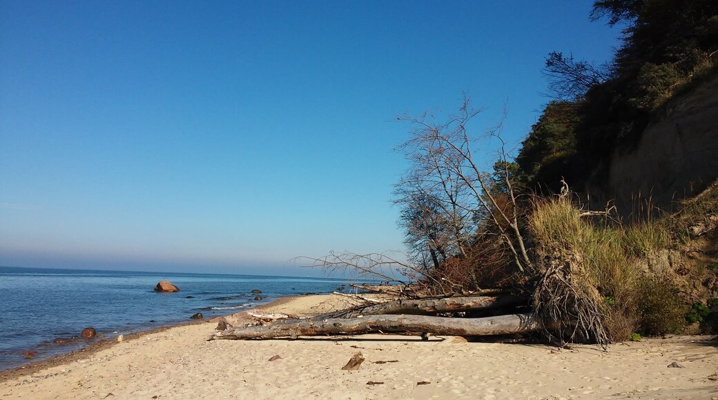 This is a photography of protected area with CRFOP ID