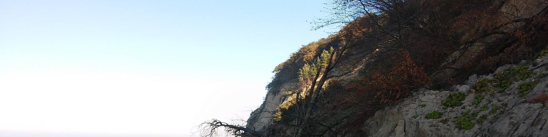 This is a photography of protected area with CRFOP ID