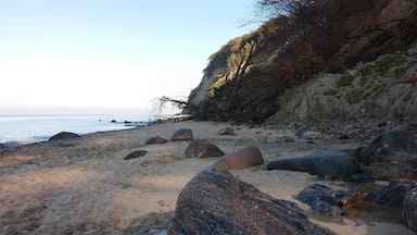 This is a photography of protected area with CRFOP ID