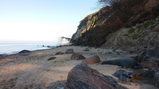 This is a photography of protected area with CRFOP ID