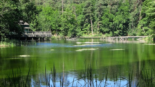 Grodno