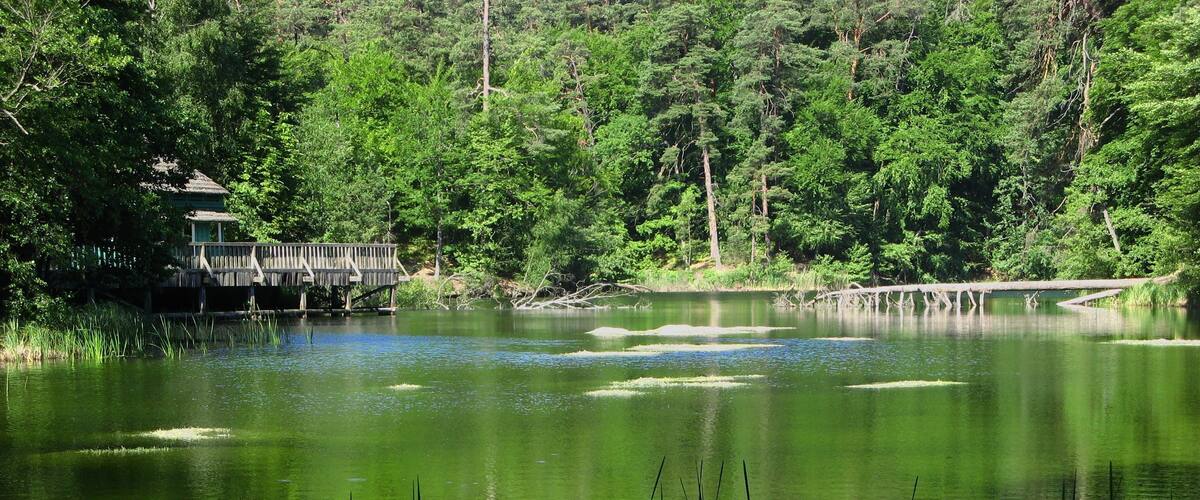 A calm lake surrounded by dense forest and a wooden structure.