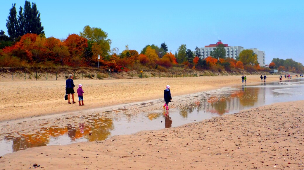 Aleja Gwiazd, 72-500 Międzyzdroje, Poland