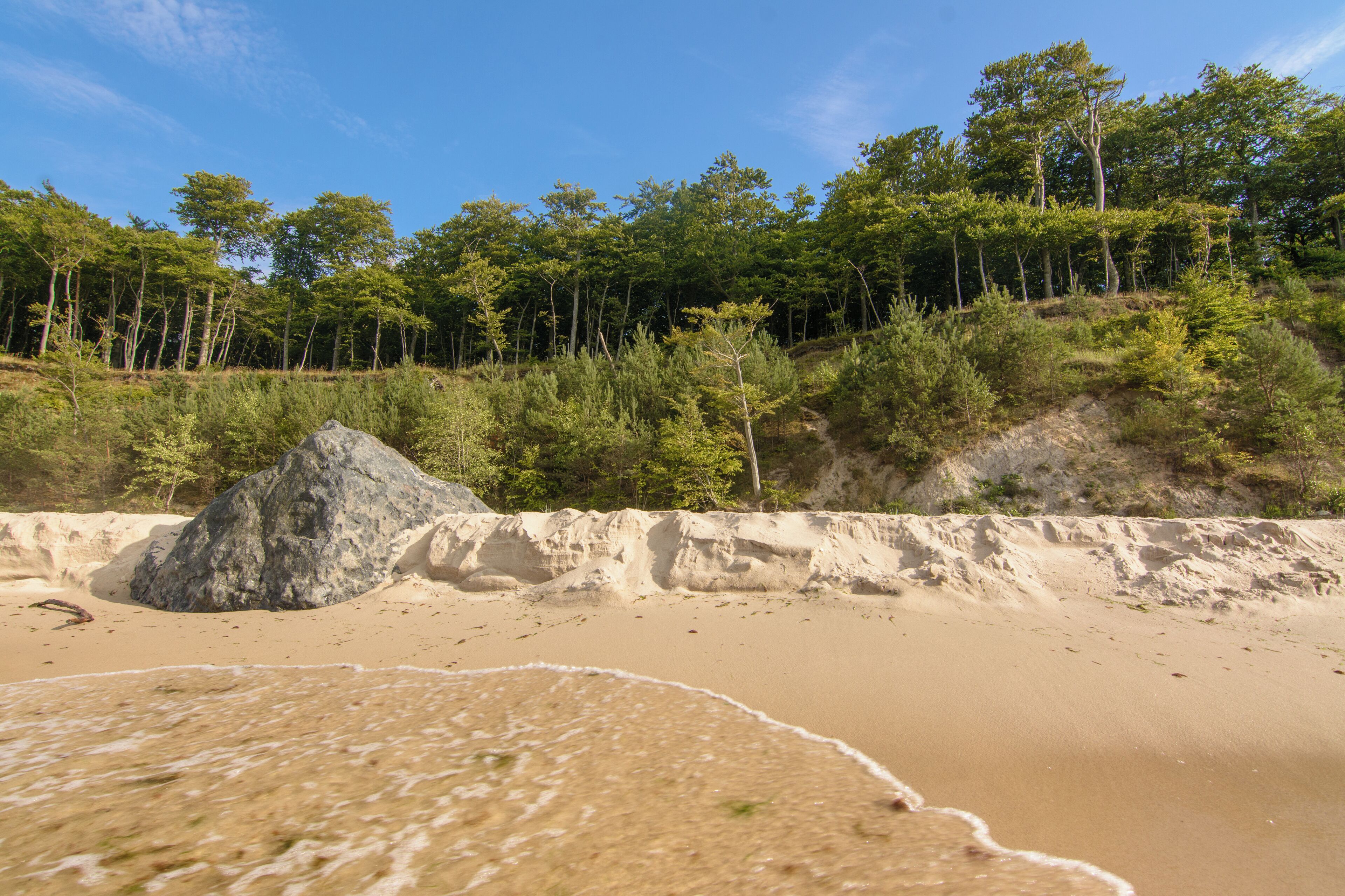 This is a photography of protected area with CRFOP ID