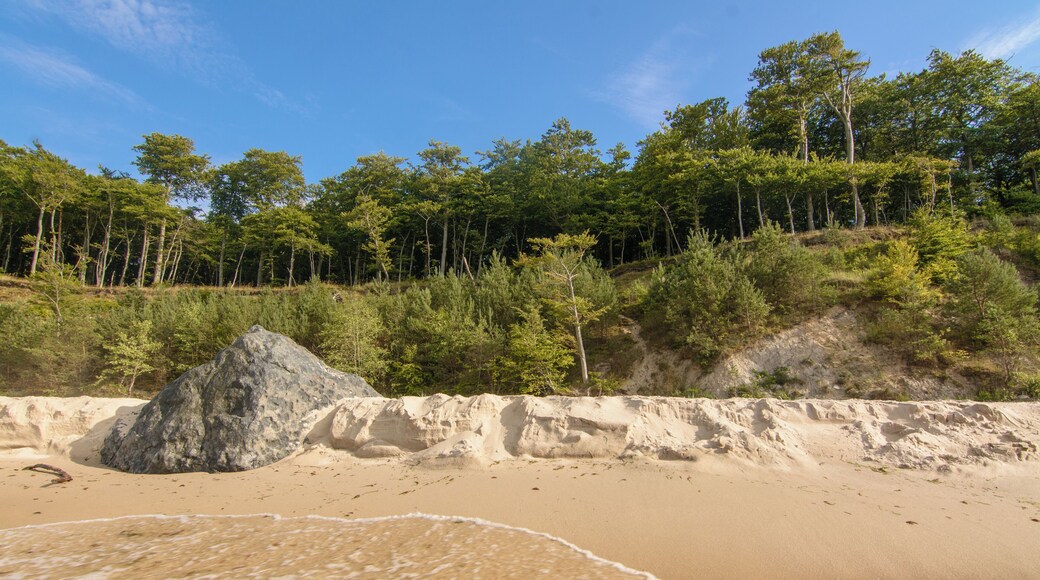 This is a photography of protected area with CRFOP ID