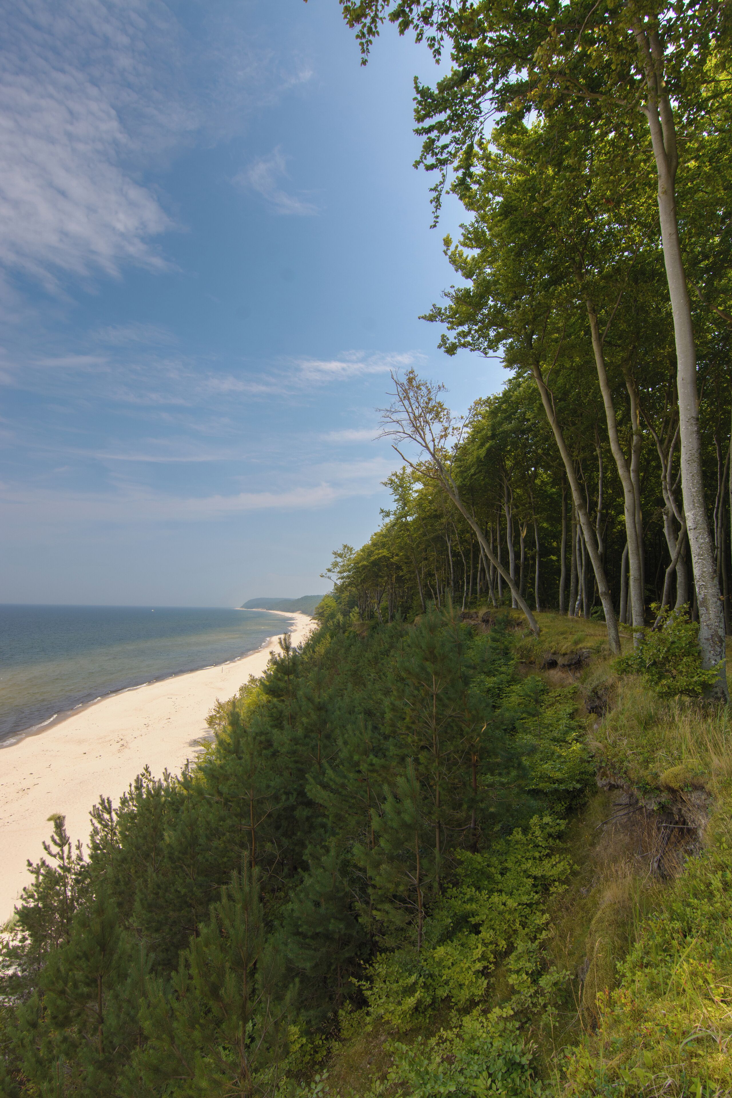 A beach with a forested hillside and a clear sky.