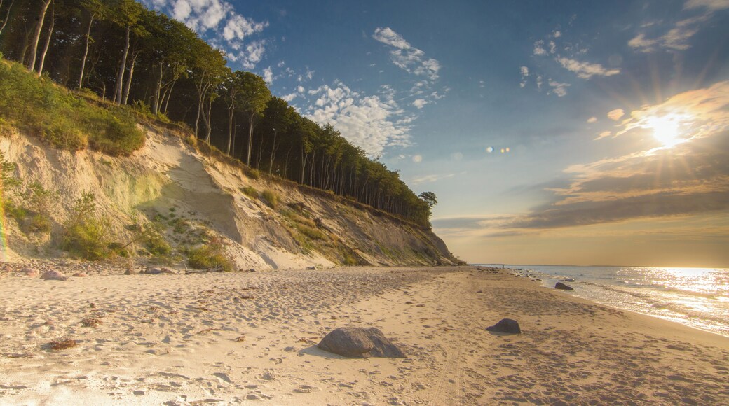 This is a photography of protected area with CRFOP ID