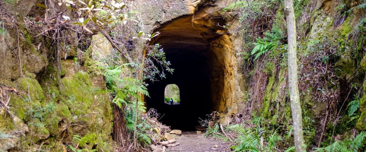 A narrow forest path leading to a cave entrance surrounded by dense foliage and moss-covered rocks.
