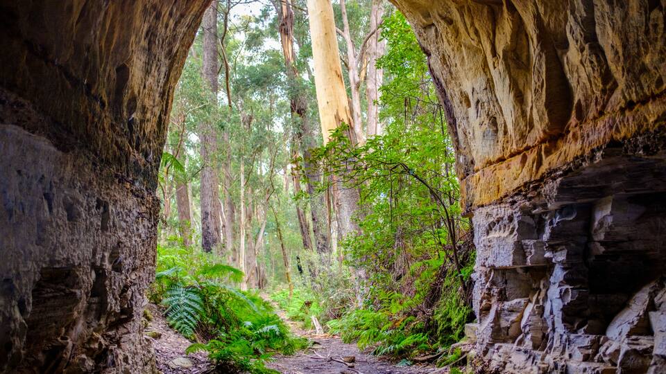 Entrada a una cueva rodeada de vegetación, con un sendero de tierra que la atraviesa.