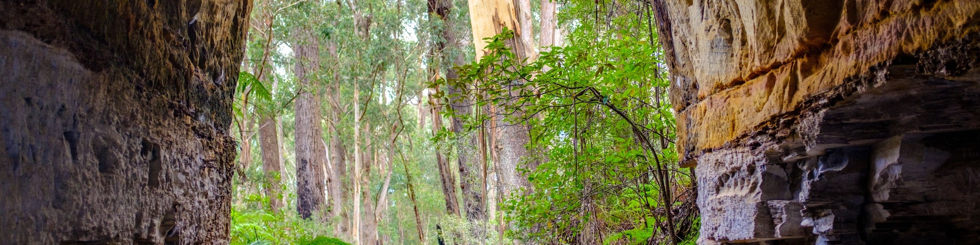 A forested cave entrance with a dirt path leading through.