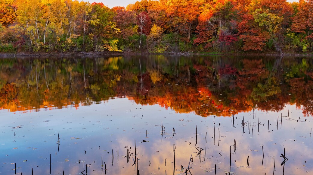 marthaler park autumn and pond reflections