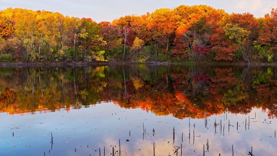marthaler park autumn and pond reflections