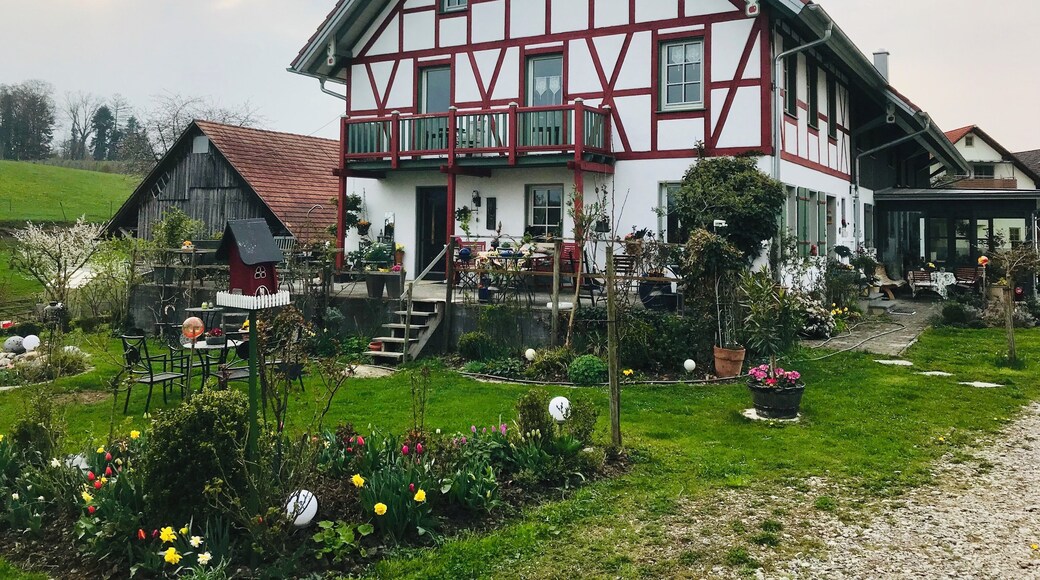#lksawaydays in Germany stayed st the wonderful guest house just outside Friedrichshafen