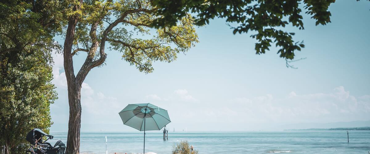 A beach with a stroller, a large umbrella, and a tree.