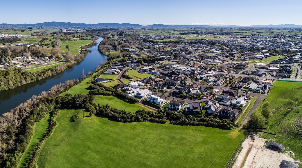 ๋๋ฃจ์์ํ์