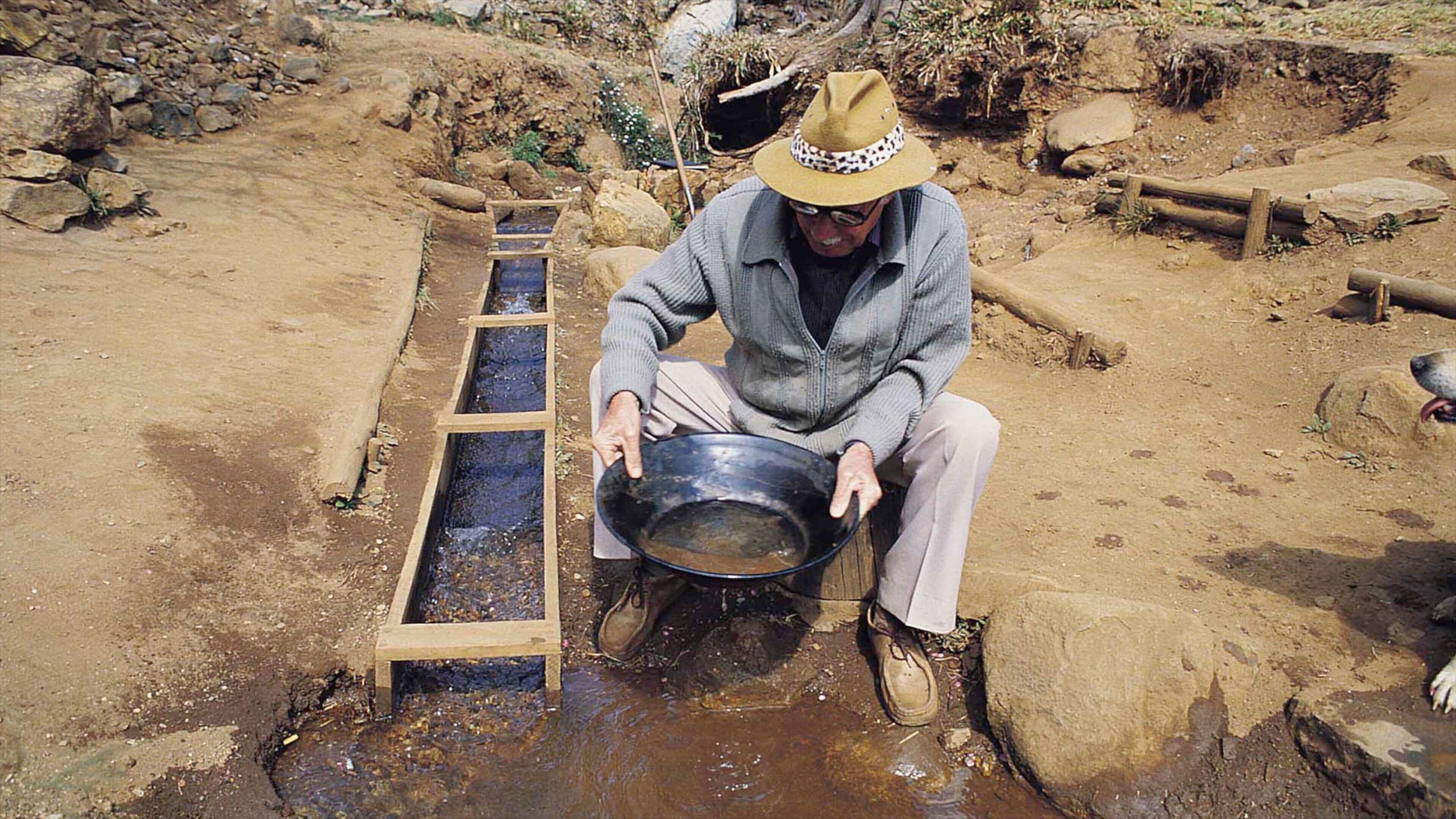 Pilgrims Rest showing tranquil scenes as well as an individual male