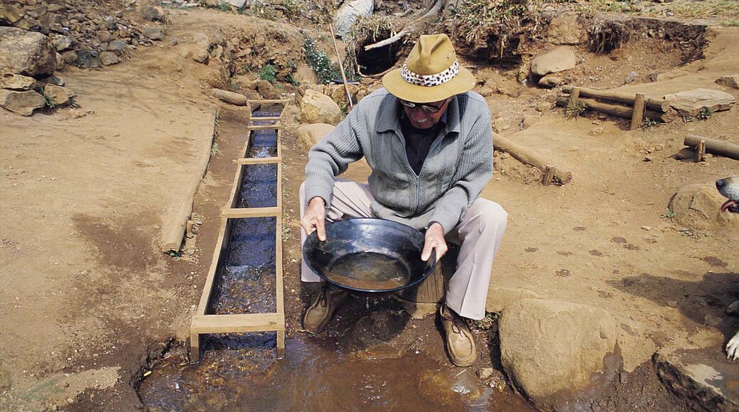 Pilgrims Rest showing tranquil scenes as well as an individual male