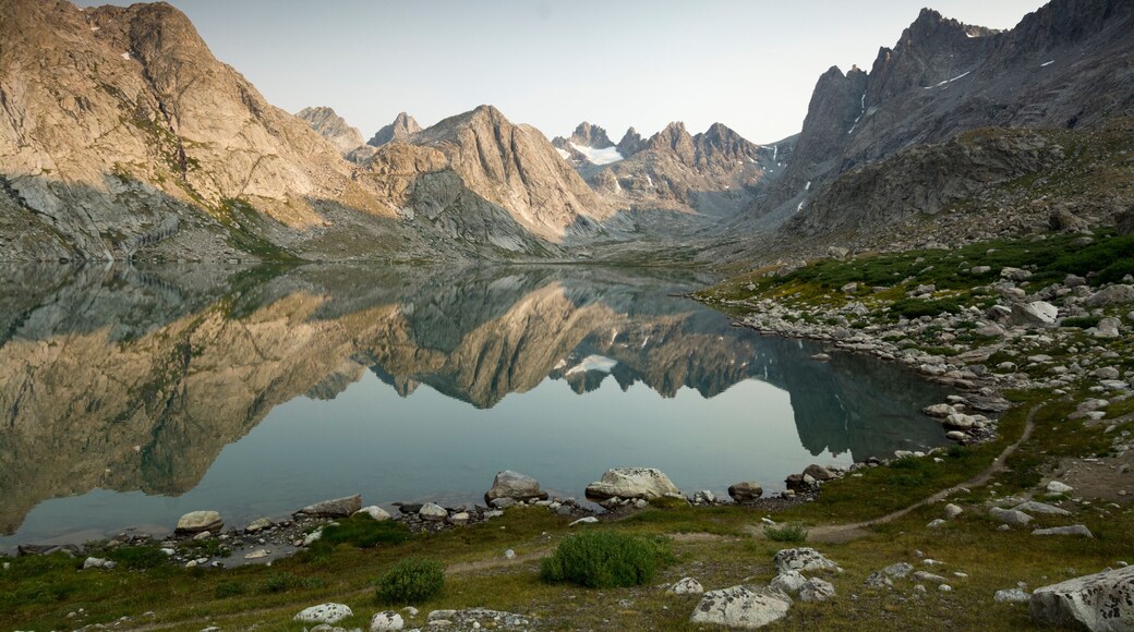 ํ์ธ๋ฐ์ผ