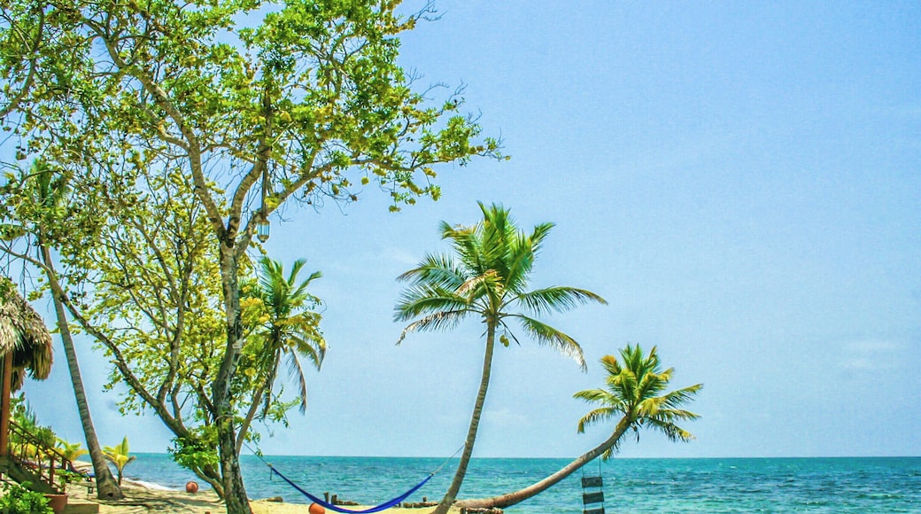 The beach at the beautiful Turtle Inn in Belize. A very popular destination for scuba diving, it's still a great place to visit even if you just want to hang out on the beach. #belize #turtleinn #beach