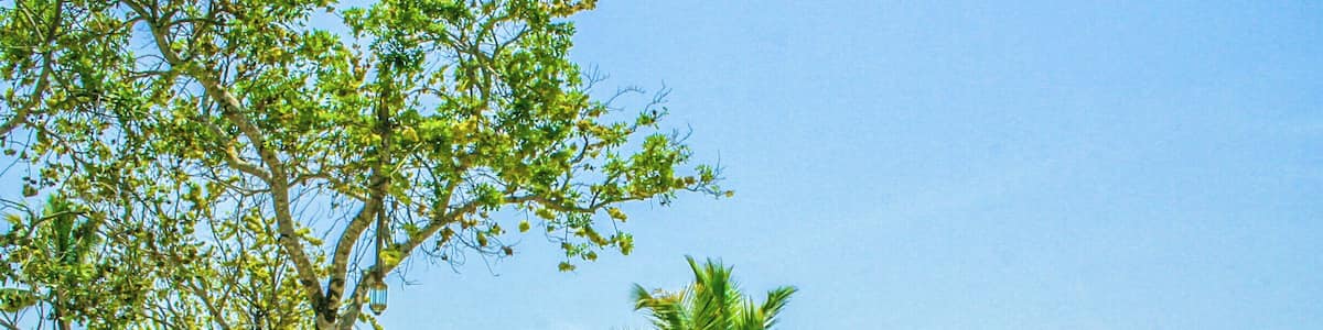 The beach at the beautiful Turtle Inn in Belize. A very popular destination for scuba diving, it's still a great place to visit even if you just want to hang out on the beach. #belize #turtleinn #beach