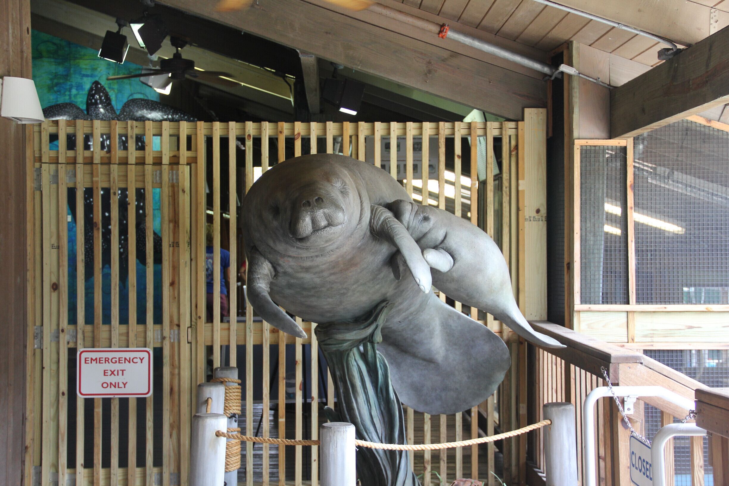 Marine Science Center