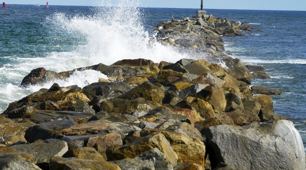 By the Ponce Inlet lighthouse, Lighthouse Point Park is a great Volusia County park to spend the day.