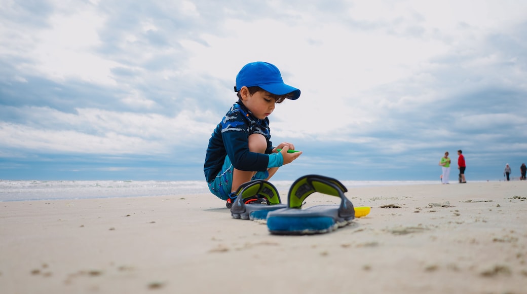 New Smyrna Beach is a Florida city south of Daytona Beach. It’s a surf hub known for its beaches, including nearby Canaveral National Seashore. The coastal Smyrna Dunes Park has views of Ponce Inlet a