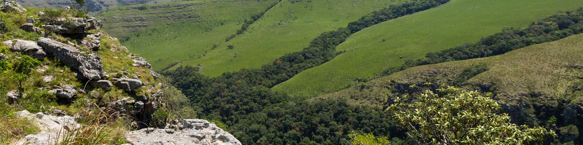 Um vale com colinas ondulantes, um afloramento rochoso e uma floresta densa.