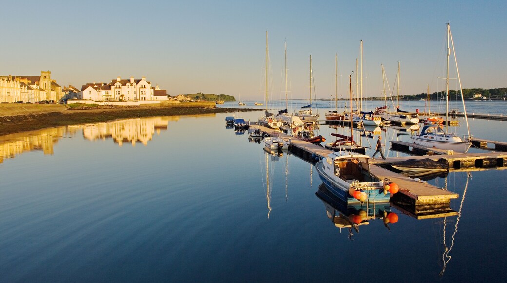 Warm summer evening light on the village harbour marina of Portaferry at the entrance to Strangford Lough, County Down, Ireland.
