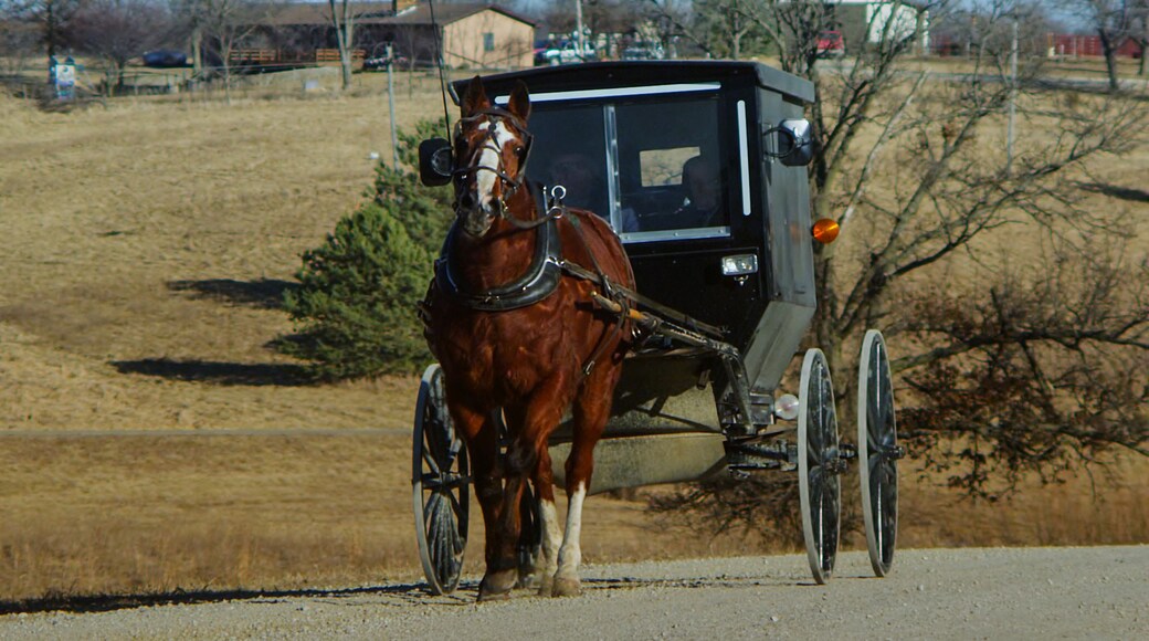 An Amish covered buggy travels the barren country roads of Davis County, Iowa on late-winter afternoon in slow motion.