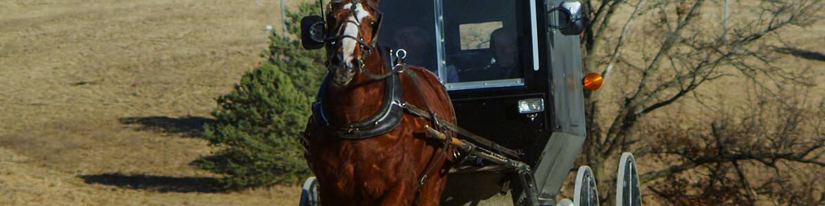 An Amish covered buggy travels the barren country roads of Davis County, Iowa on late-winter afternoon in slow motion.