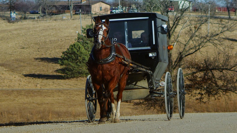 An Amish covered buggy travels the barren country roads of Davis County, Iowa on late-winter afternoon in slow motion.