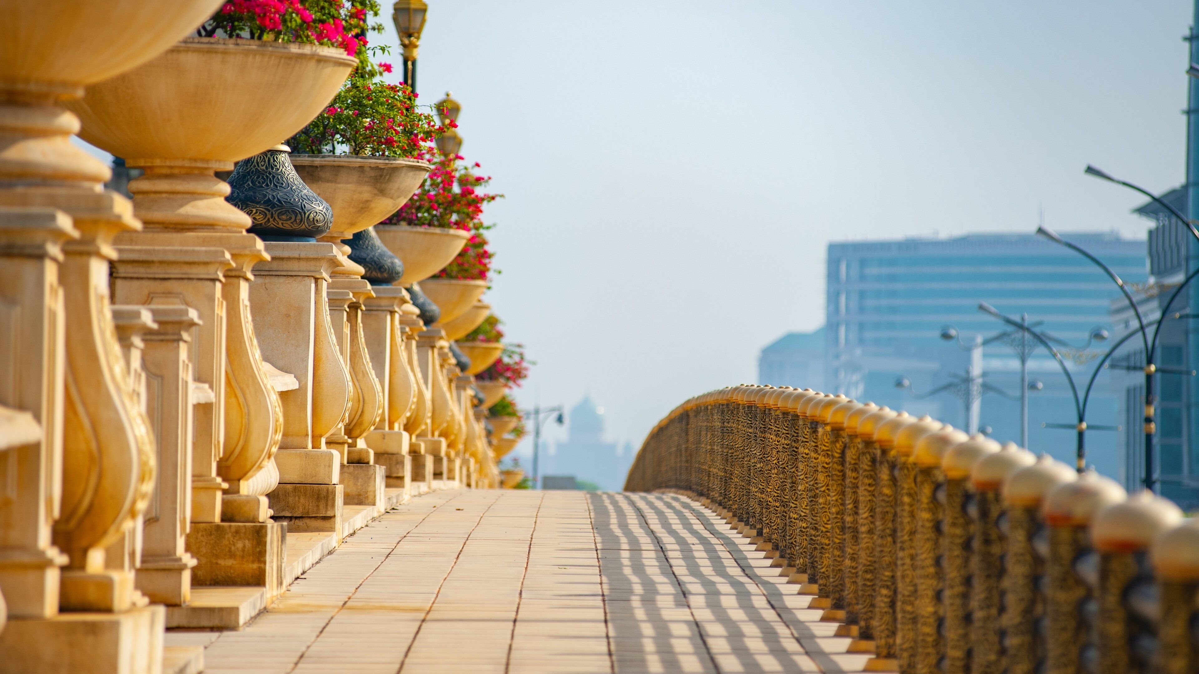 Putrajaya showing a bridge and flowers