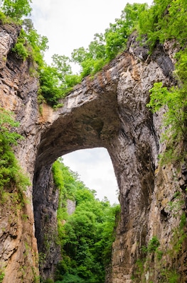 A natural rock arch formation surrounded by lush greenery.