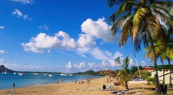 Rodney Bay