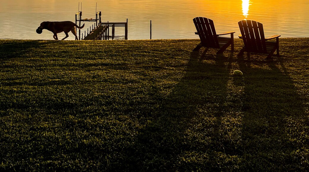 Sunrise on the Rappahannock River with a big Yellow Labrador Retriever wandering by