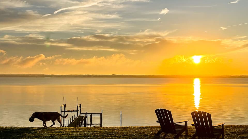 A sunset over a calm lake with chairs and a dog on the shore.