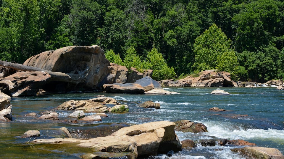 A river with large rocks and a forested area in the background.