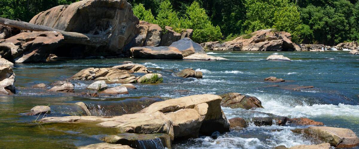 A river with large rocks and a forested area in the background.