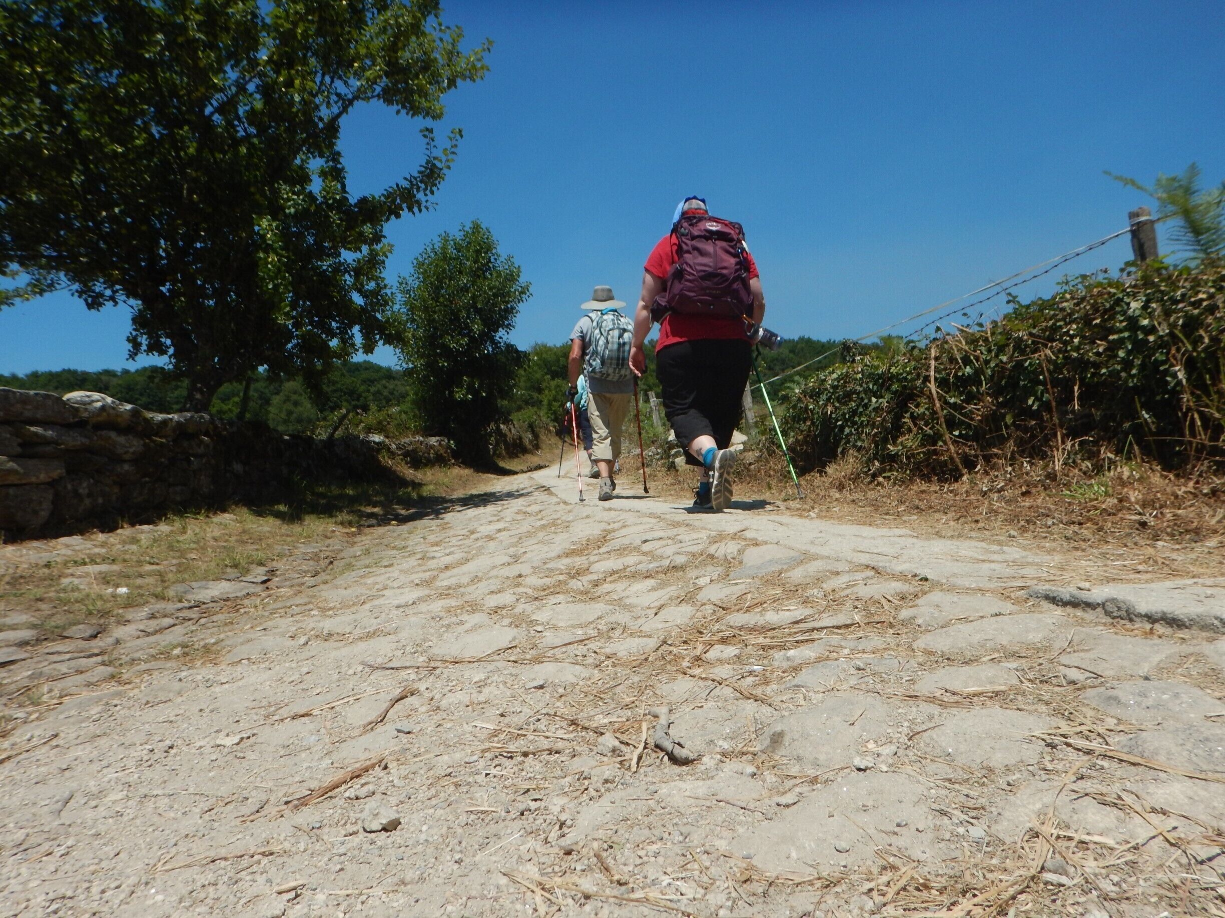 #TakeAHike This is some of the scenery on the walk from Sarria to Portomarin. The Camino to Santiago de Compostela is gorgeous!