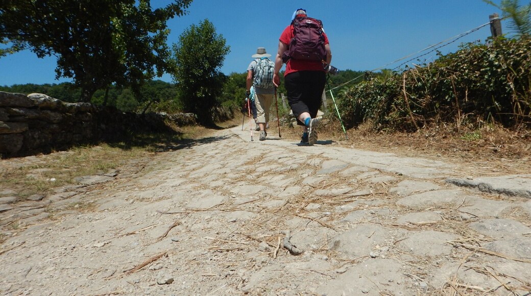 #TakeAHike This is some of the scenery on the walk from Sarria to Portomarin. The Camino to Santiago de Compostela is gorgeous!