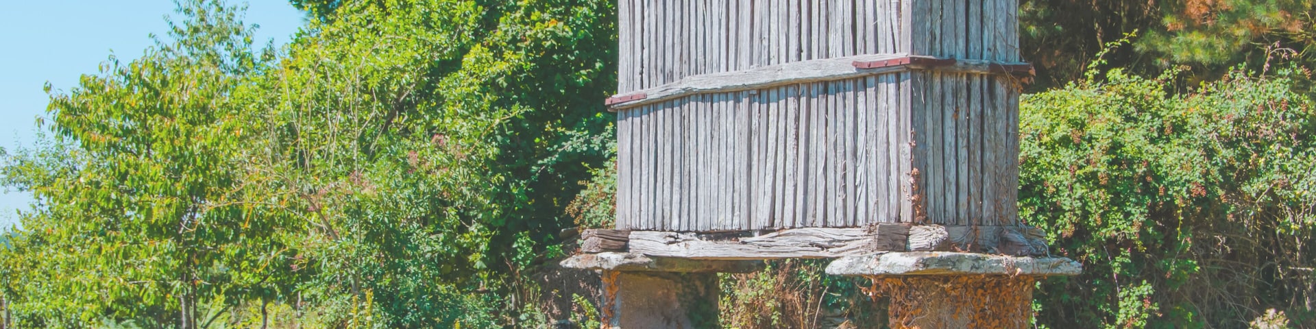 A rustic wooden structure with a sloped roof, situated on a stone base amidst a lush green forest.