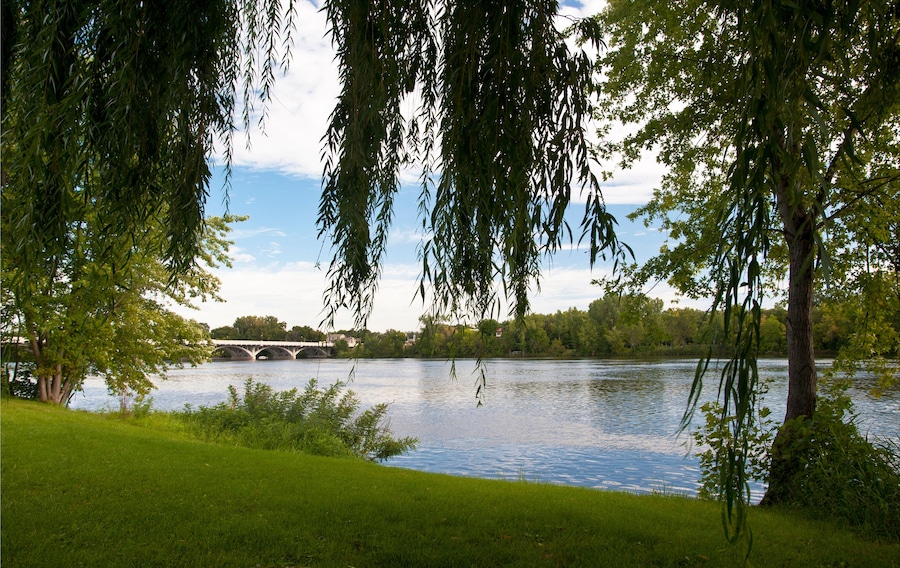 A river with a bridge, lush greenery, and a clear sky.