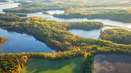 Aerial view of the Mississippi River and farm fields in northern Minnesota on a bright autumn morning