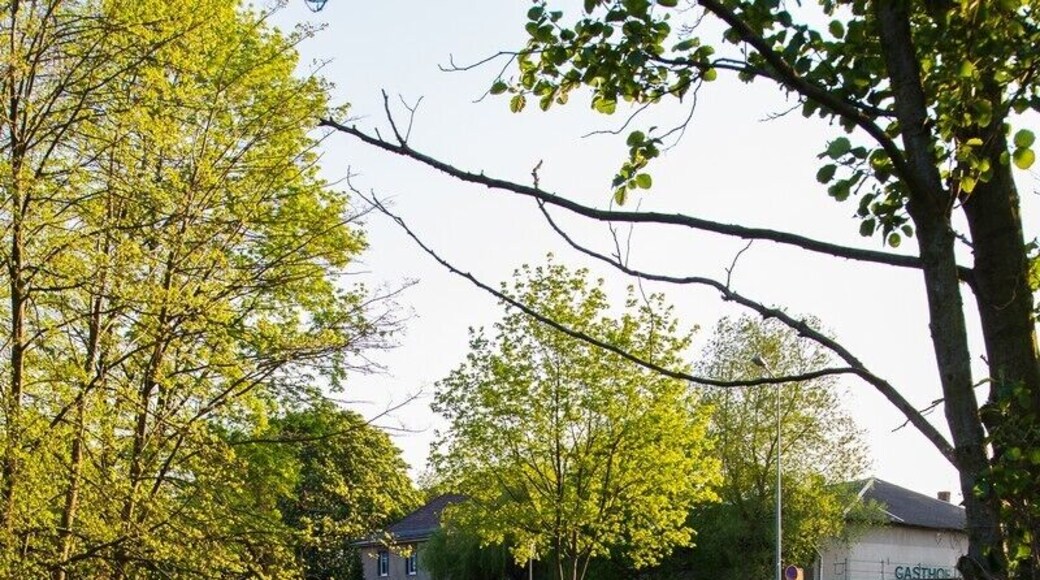 Schwarze Elster bei Ruhland, Ostansicht L55-Brücke und Zollhaus