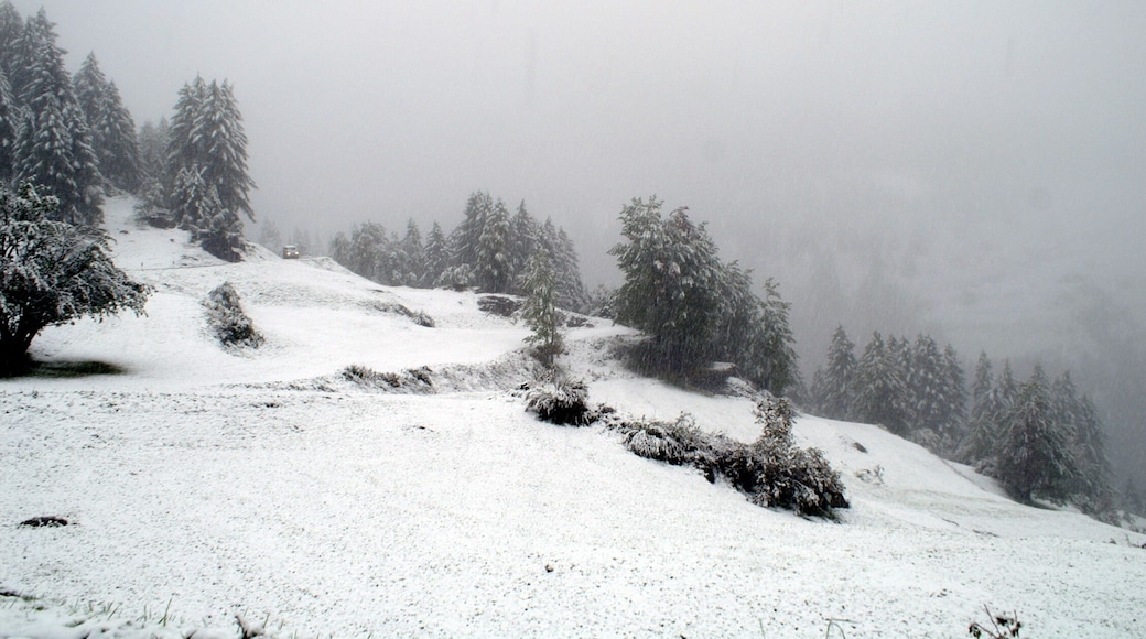 Früher Wintereinbruch vom 25.09.2010